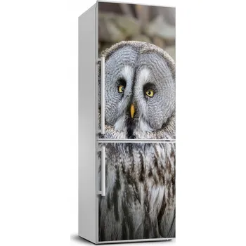 Fototapeta Samolepicí samolepící na ledničku na zeď Sova 70x190