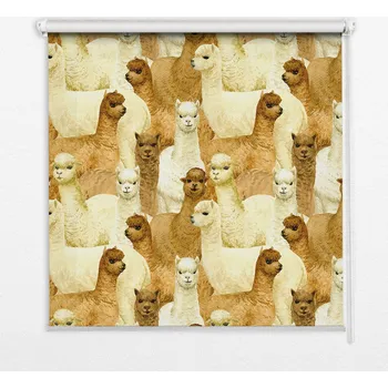 Prostěradlo Polozatemňovací roleta Coloray 100 cm x 180 cm