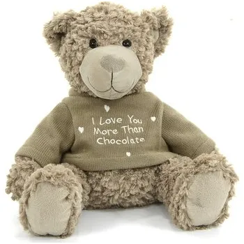 plyšák PLYŠÁK MEDVÍDEK MACKO Love You More Than Chocolate 37 cm