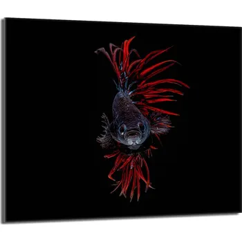 Kuchyňské prkénko Krájecí deska TMK ArtDeko sklo 1 ks