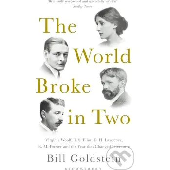 The World Broke in Two - Bill Goldstein Bloomsbury