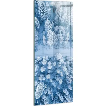 Obraz Foto Obraz na Zeď Sklo Moderní Do Jídelny Les z ptačí perspektivy Dron 50x125