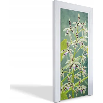 Fototapeta Samolepící nálepka na dveře šatní skříně Exotická orchidej 75x205 cm