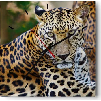 Hodiny Velké nástěnné hodiny 40x40 cm Zvířata Skleněné tiché hodiny