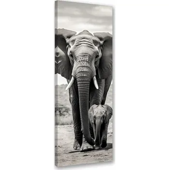 Obraz OBRAZ NA PLÁTNĚ Černobílý slon na plátně CANVAS 50x150