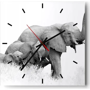 Hodiny Velké nástěnné hodiny 40x40 cm Zvířata Skleněné tiché hodiny