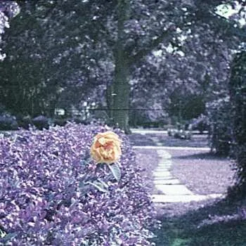 Zahraniční hudba CD Hour: Subminiature 2025