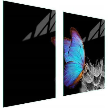 Kuchyňské prkénko Krájecí deska TMK ArtDeko sklo 2 ks