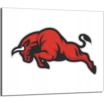 Kuchyňské prkénko Krájecí deska TMK ArtDeko sklo 1 ks