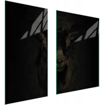 Kuchyňské prkénko Krájecí deska TMK ArtDeko sklo 2 ks