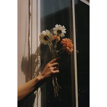 Plakát Plakát Paprsky a Lístky bez rámu 61 x 90,5 cm