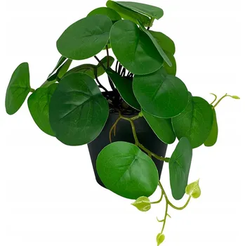 umělá květina Diefenbachie Umělé květy JAKO ŽIVÁ 55 cm