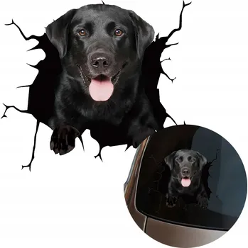 Samolepicí dekorace na vozidlo NÁLEPKA Grafika na auto rozbité okno Vypadající Pes Labrador 15x16cm