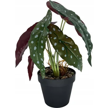 umělá květina Diefenbachie Umělé květy JAKO ŽIVÁ 55 cm