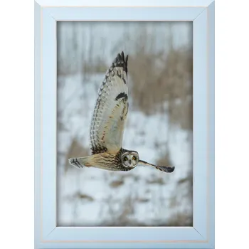 Obraz RÁMEČEK NA FOTOGRAFIE MODRÝ RÁM A6 10x15 CM