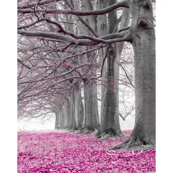 Obraz Plakát Stromy v řadě - růžové listy bez rámu 40 x 50 cm