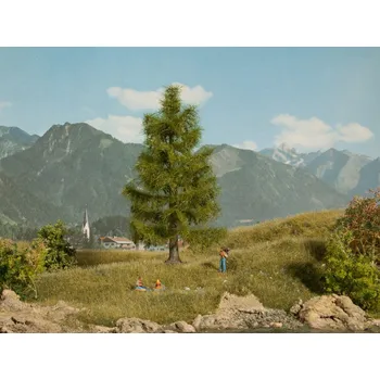 Smrk, 14,5cm / NOCH 21816