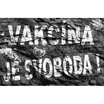 Obraz Cedule Vakcína je svoboda !