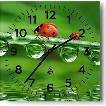 Hodiny Kuchyňské nástěnné hodiny 30x30 Beruška Skleněné hodiny do obýváku Moderní Tiché