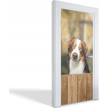 Fototapeta Ozdobná dekorativní fólie na dveře, nábytek, skříň – Zvědavý pejsek 95x205 cm