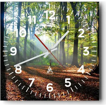 Hodiny Nástěnné hodiny do obýváku 40x40 Les Tiché hodiny na skle Stylové