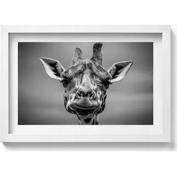 Obraz Ozdobný nástěnný obraz v rámu s grafikou Černobílá hlava žirafy 30x20 cm
