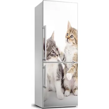 Fototapeta Samolepící nálepka na ledničku Dvě malé kočky