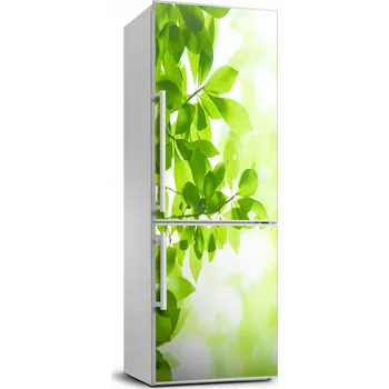 Fototapeta Samolepicí samolepící s dýhou Zelené listy