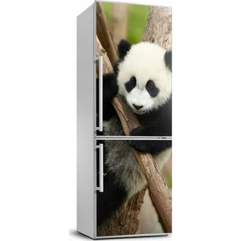 Fototapeta Samolepka na ledničku Panda na stromě 70x190