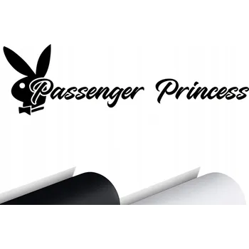 Samolepicí dekorace na vozidlo NÁLEPKA na auto KRÁLÍČEK Passenger Princess
