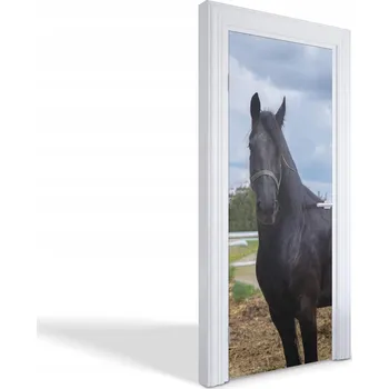 Fototapeta Dekorační samolepící fólie na dveře, skříň, nábytek - Černý kůň 75x205 cm