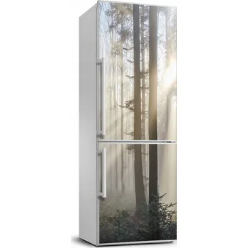 Fototapeta Samolepicí fototapeta na ledničku Mlha v lese