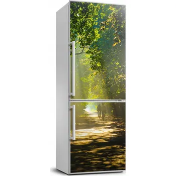 Fototapeta Samolepicí fototapeta na ledničku Cesta v lese