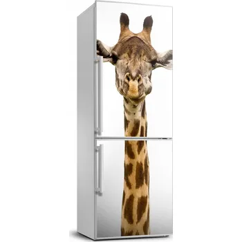 Fototapeta Samolepka / Fólie na lednici Žirafa 70x190 cm