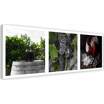 Obraz OBRAZ NA PLÁTNĚ Víno a Hroznové Víno Listy 120x40