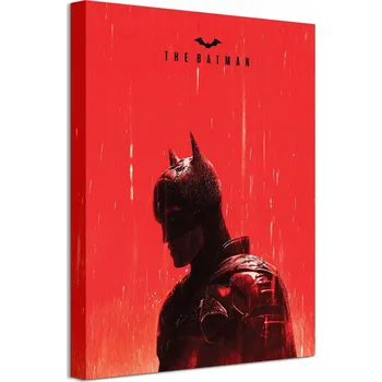 Obraz Obraz na plátně Batman Rain Logo 40x50 cm
