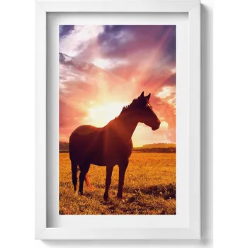 Obraz Dekorativní nástěnný obraz v bílém rámu Kůň na poli při západu slunce 20x30 cm