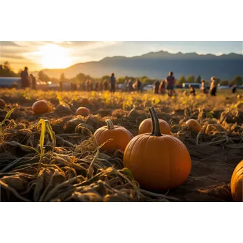 Plakát Plakát Zlatý Podzim bez rámu 91,5 x 61 cm