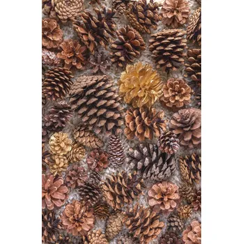 Obraz Plakát Šišky z borovice bez rámu 56,6 x 86,4 cm