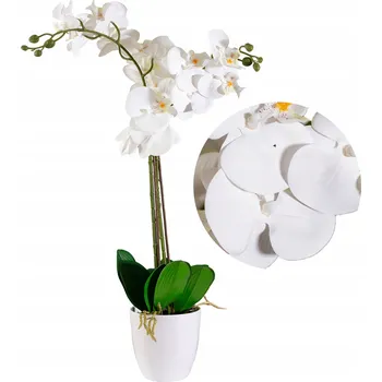 umělá květina umělá orchidej jako živá bílá 75cm