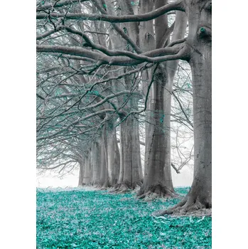 Obraz Plakát Stromy v řadě - tyrkysové listy bez rámu 29,7 x 42 cm