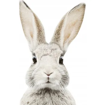 Samolepící dekorace Samolepka na zeď YokoDesign DK223 Králík Stefan 72x46 cm