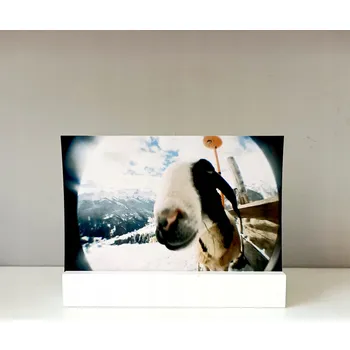 Obraz Jednoduchý Rámeček Focus Nordic 2,3 x 15 cm