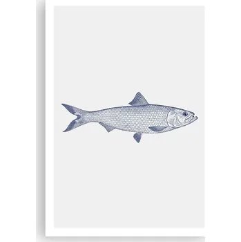 Obraz Plakát na zeď bez rámu 70x100 ryba foto-obraz plakáty do obývacího pokoje ložnice