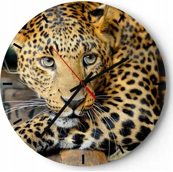 Hodiny Nástěnné hodiny do kuchyně 30x30 Zvířata Skleněné hodiny do obýváku Tiché