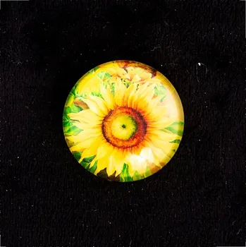 Obraz Magnety Midex slunečnice 36 kusů