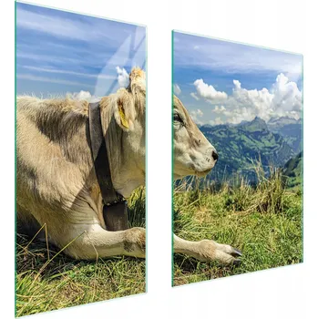 Kuchyňské prkénko Krájecí deska TMK ArtDeko sklo 2 ks