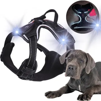 Postroj pro psa SVÍTÍCÍ LED postroj pro psa, netlakový GUARD PARIS černý vel XL