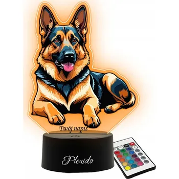 Lampička Plexido vícebarevná Noční lampa