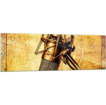 Obraz Velký skleněný obraz do obýváku 160x50 mikrofon moderní fotoobraz obrazy